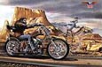 Buy Motorcycle Easyriders at AllPosters.com